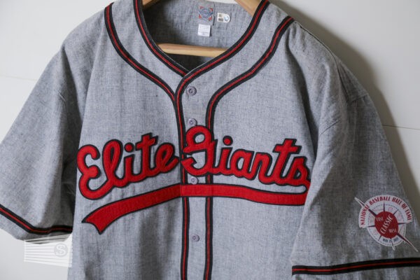  Jersey Detail #2