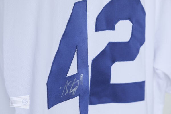  Jersey Detail #5