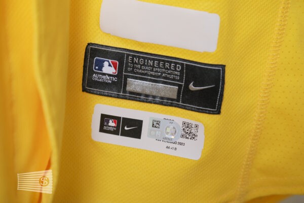  Jersey Detail #3