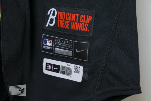  Jersey Detail #3