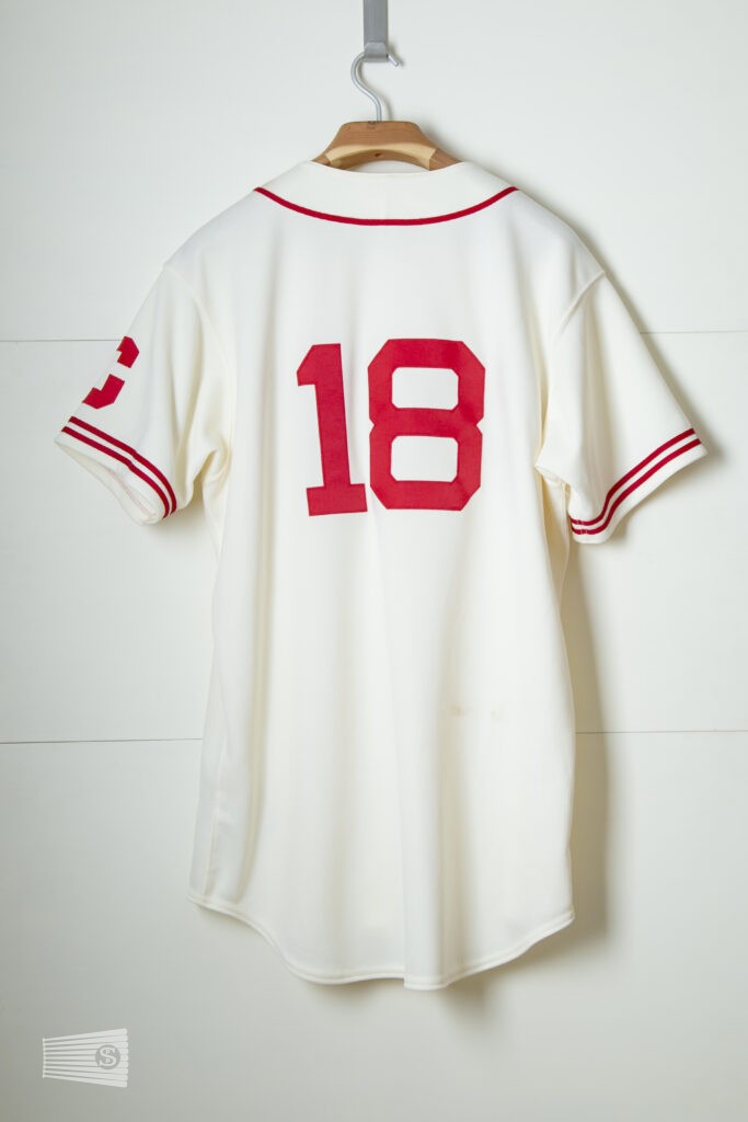 jersey photo on the back view