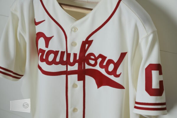  Jersey Detail #1