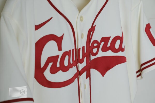  Jersey Detail #2