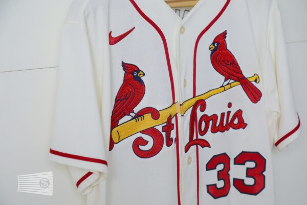 Jersey Detail #6