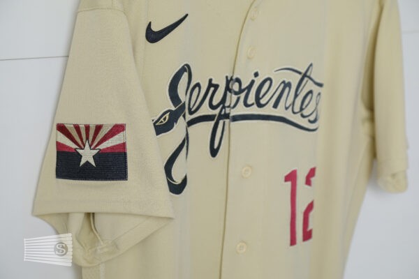  Jersey Detail #5