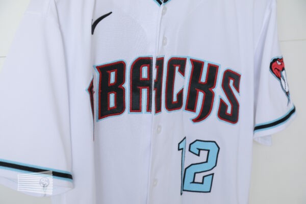  Jersey Detail #4