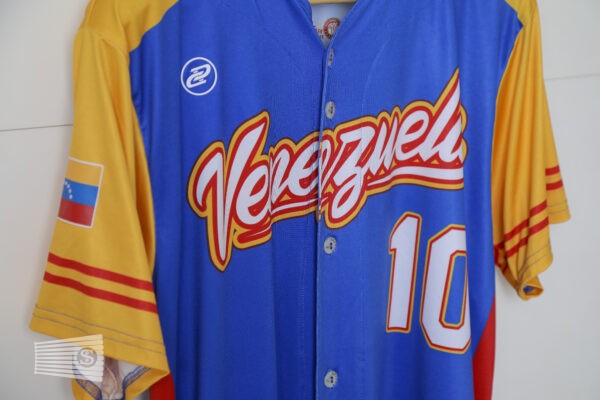  Jersey Detail #5