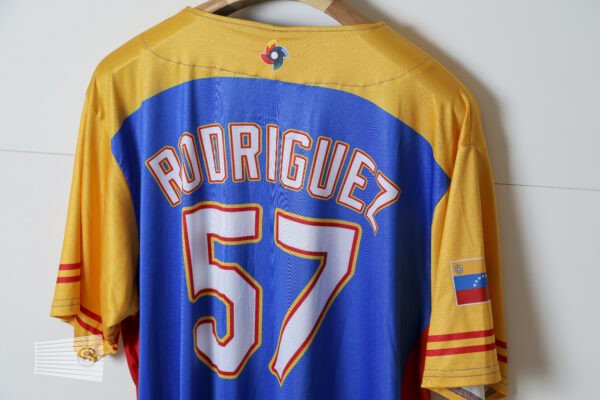  Jersey Detail #1
