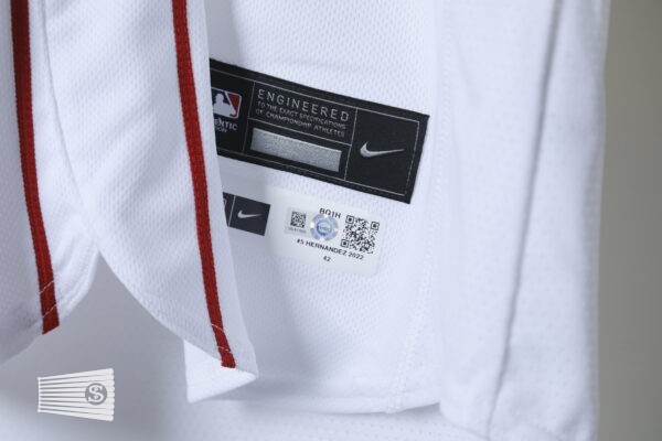  Jersey Detail #3