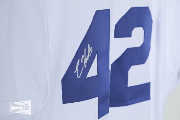  Jersey Detail #5