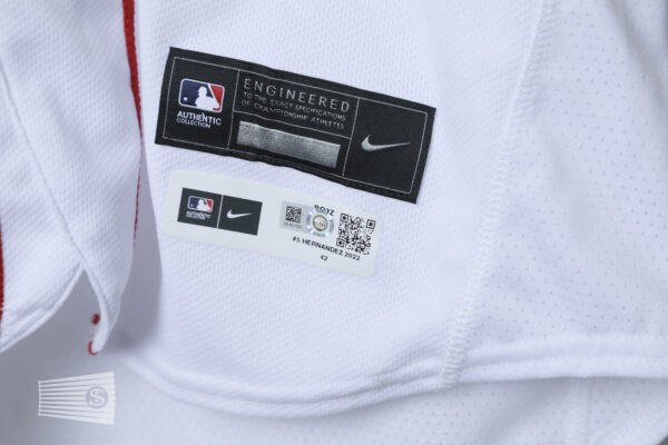  Jersey Detail #3