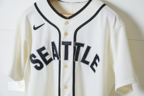  Jersey Detail #2