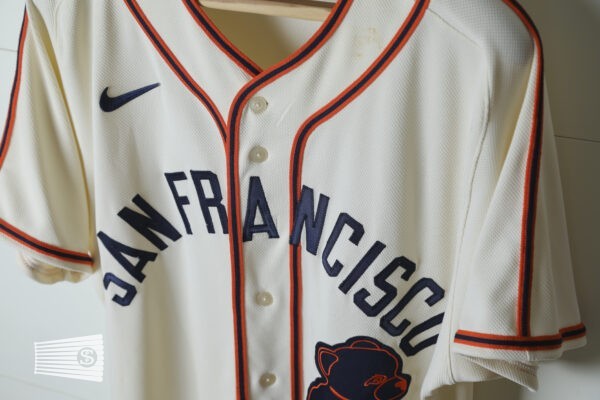  Jersey Detail #2