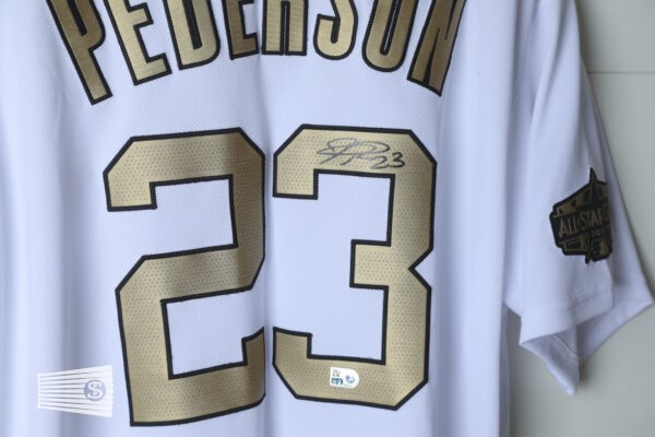  Jersey Detail #4