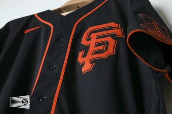  Jersey Detail #4
