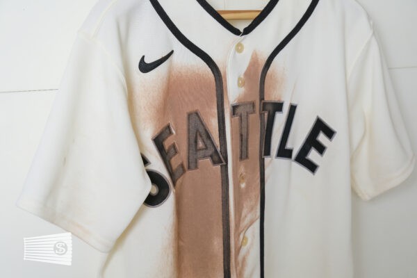 Jersey Detail #4