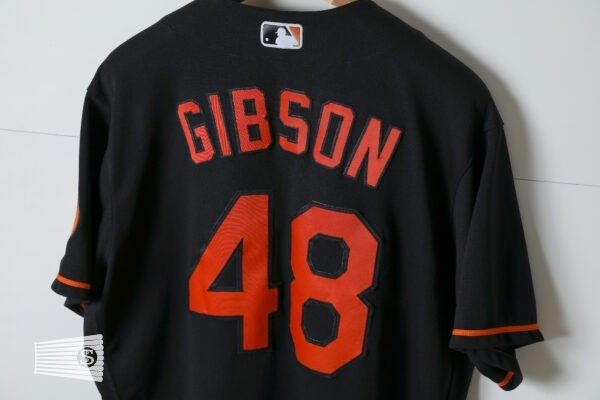  Jersey Detail #1