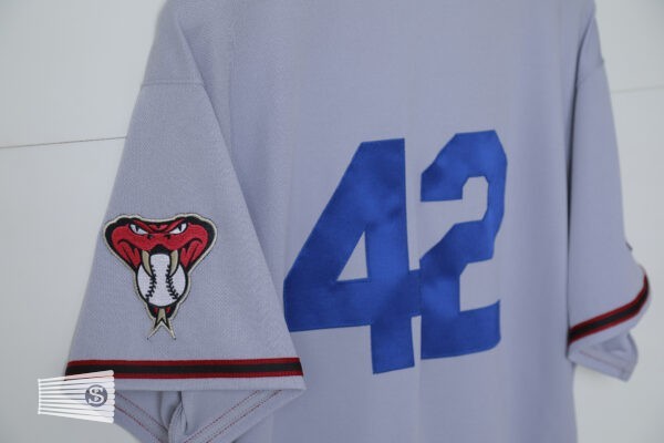  Jersey Detail #4