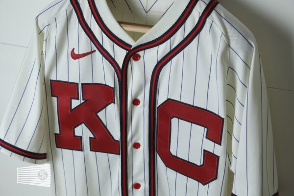  Jersey Detail #1