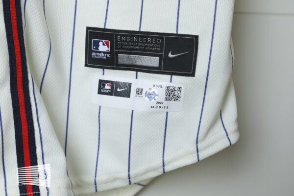  Jersey Detail #3