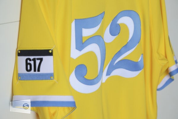  Jersey Detail #2