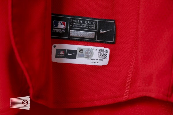  Jersey Detail #3