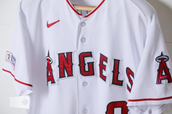  Jersey Detail #2
