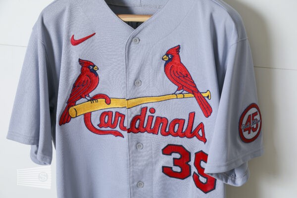  Jersey Detail #2
