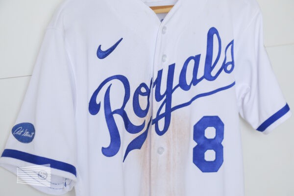  Jersey Detail #4