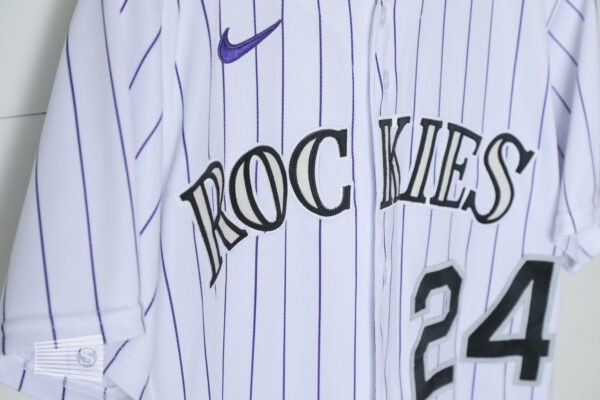  Jersey Detail #4